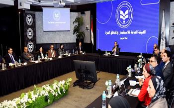 الرئيس التنفيذي لهيئة الاستثمار يبحث سبل تطوير آليات استهداف الاستثمارات المحلية والأجنبية