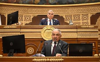 وكيل الشيوخ يطالب الحكومة بالتوسع في إنشاء المدارس اليابانية 