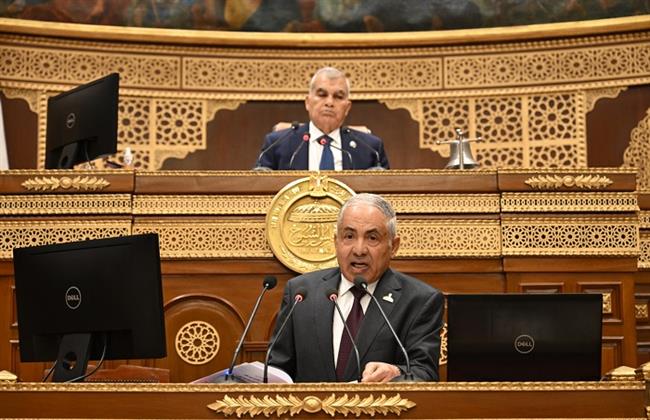 وكيل الشيوخ يطالب الحكومة بالتوسع في إنشاء المدارس اليابانية 