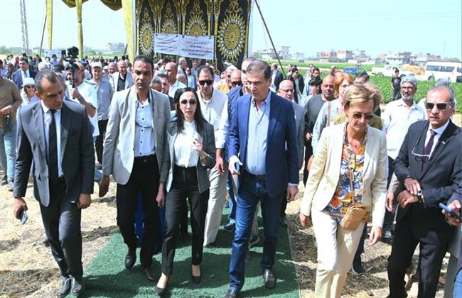 وزير الزراعة ومحافظ البحيرة وسفيرة الاتحاد الأوروبي يشهدون حصاد القمح بقرية دنشال