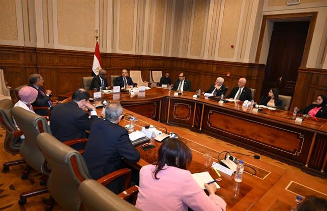 "خارجية الشيوخ" تبحث تطورات السياسة المصرية تجاه أفريقيا وملفات حوض النيل