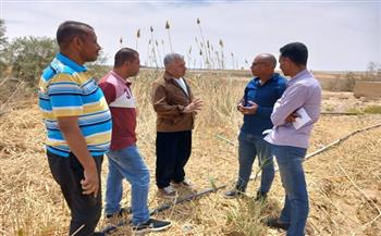 رئيس مياه سيناء يتفقد محطة تنقية غرب النفق لمتابعة كفاءة التشغيل واستمرارية الخدمة