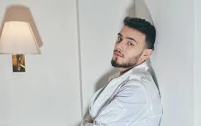 الشامي: شيرين عبد الوهاب أيقونة ونفسي نتعاون مع بعض
