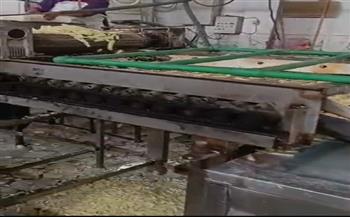 محافظ المنوفية: ضبط كيان مخالف بالباجور تخصص في إنتاج وبيع البطاطس