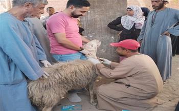 محافظ أسيوط: تسليم 216 رأس أغنام وماعز لـ100 أسرة منتجة بالتعاون مع جمعية "عطاء بلا حدود"