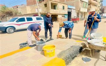  محافظ كفرالشيخ يتابع أعمال النظافة والتجميل بالرياض ضمن مبادرة «جميلة يا بلدي»