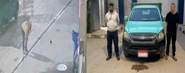 القبض على سائقين بالدقهلية لسرقة قطع حديد من محطة وقود بكفر الشيخ