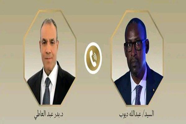 وزير الخارجية يبحث مع نظيره المالي جهود مكافحة الارهاب فى منطقة الساحل