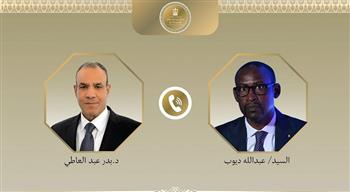 وزير الخارجية يؤكد تضامن مصر مع مالي ويجدد إدانة الهجمات الإرهابية
