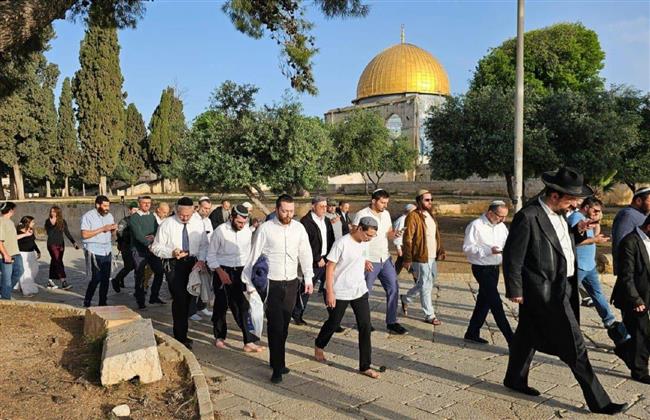 بقيادة رئيس لجنة الأمن القومي في الكنيست.. مستوطنون يقتحمون باحات "الأقصى"