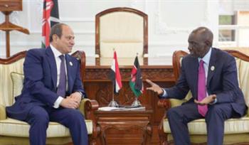 بالتنمية والاستثمار..  مصر تستعيد نفوذها الإفريقى