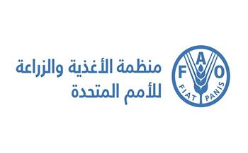 "الفاو" تحذر من أزمة غذاء عالمية حادة بسبب اضطرابات الملاحة في مضيق "هرمز"