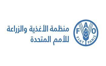 "الفاو" تحذر من أزمة غذاء عالمية حادة بسبب اضطرابات الملاحة في مضيق "هرمز"