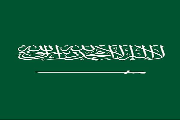 "الجوازات" السعودية تصدر 13,712 قرارًا إداريا بحق مخالفين لأنظمة الإقامة