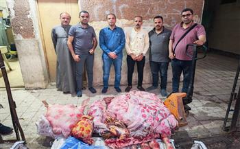 ضبط 343 كيلو لحوم فاسدة بأختام مزورة قبل بيعها للمواطنين بسوهاج