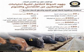 المركز الإعلامي لمجلس الوزراء: جهود متكاملة لتلبية احتياجات المواطنين من الأضاحي واللحوم