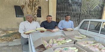 ضبط ربع طن دواجن داخل سيارة توزيع قبل بيعها للمواطنين بالأقصر