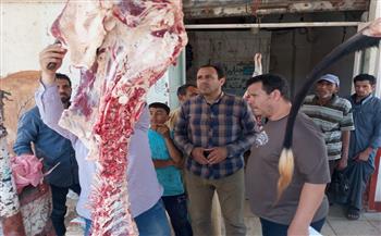 تموين الشرقية يضبط (٧٨٧كجم) لحوم و دواجن وكبده مجهولة المصدر خلال حملات بنطاق المحافظة 