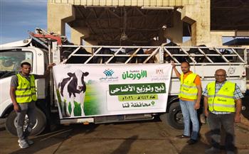جمعية الأورمان تبدأ ذبح 50 عجلًا بلديًا بقنا خلال أول أيام عيد الأضحى