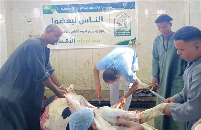 الأقصر: ذبح 40 عجلًا مقدمة من الجمعيات الخيرية وتوزيع لحومها على 8 آلاف أسرة
