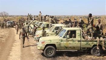 الجيش السوداني يعلن السيطرة على منطقة "البركة" في ولاية النيل الأزرق