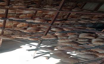 "تموين قنا": حملات مكثفة لضبط المخابز والأسواق خلال عيد الأضحى 