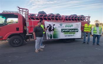 استمرار قوافل الخير في قنا لنحر وتوزيع لحوم الأضاحي على الأولى بالرعاية