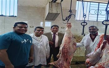 فى ثانى أيام العيد.. ذبح 66 عجلًا بمجازر الأقصر وتوزيع لحوم بالمجان على 13200 أسرة مستحقة
