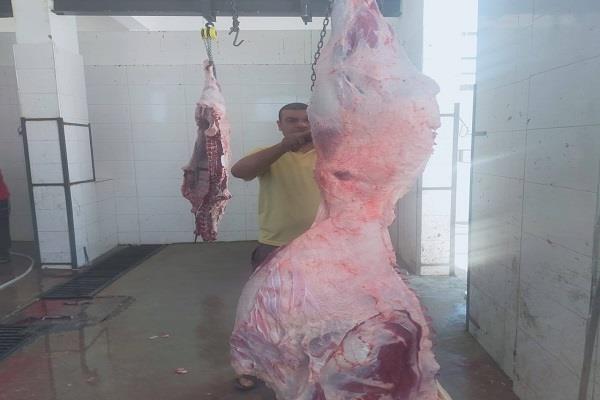 بيطري الإسماعيلية يكثف حملاته الميدانية لمتابعة أعمال ذبح الأضاحي بمجازر أبو صوير والقصاصين خلال أيام العيد