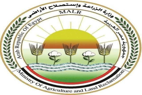 "الزراعة" تعلن ذبح 11,719 أضحية بالمجازر الحكومية "مجاناً" للمواطنين في ثاني أيام عيد الأضحى