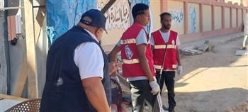 محافظ قنا يوجه بتكثيف حملات تحصين الكلاب الضالة
