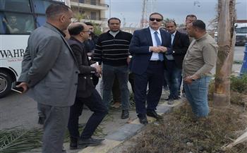 محافظ بورسعيد يتابع أعمال تشجير وزراعة الجزيرة الوسطى بمدخل الرسوة "مدخل بورسعيد الجنوبي"  