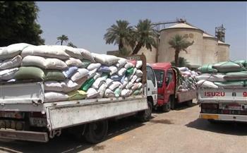 محافظ سوهاج: طفرة قياسية في توريد القمح واستقبال 170 ألف طن بالصوامع  