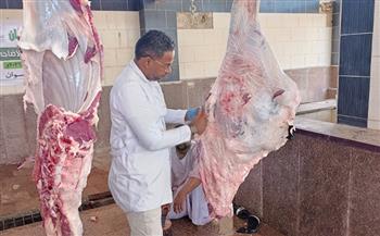 مديرية طب بيطري أسوان: ذبح 1281 أضحية داخل المجازر الحكومية خلال عيد الأضحى
