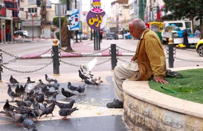 مفاجأة.. الحمام والعصافير يخافون من النساء أكثر من الرجال