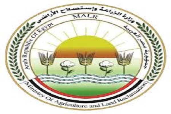 متحدث "الزراعة": حملة قومية مجانية لحماية الماشية من الحمى القلاعية.. وتقدم ملحوظ في زيادة توريد القمح 