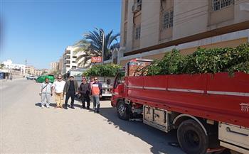 محافظ الفيوم: استلام دفعة من الأشجار لغرسها بالمدارس ومراكز الشباب ضمن المبادرة "100 مليون شجرة