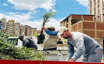 وزيرة التنمية المحلية: تشجير الدائري وتوريد آلاف الأشجار للدقهلية ضمن مبادرة 100 مليون شجرة
