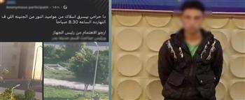 القبض على صاحب فيديو سرقة أسلاك كهربائية من أعمدة إنارة بالقاهرة