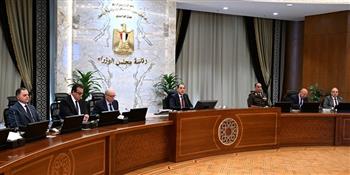 رئيس الوزراء: الشركات الدولية المعنية بالطاقة تعهدت بضخ استثمارات جديدة في مصر تتجاوز 19 مليار دولار