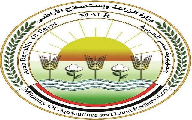 "الزراعة": التوسع في الزراعة "النظيفة" لتحسين خصوبة الأراضي وتقليل الاعتماد على الأسمدة الكيماوية