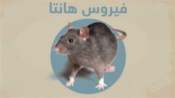 فيروس هانتا ..أمراض قد يسببها وطرق للوقاية 
