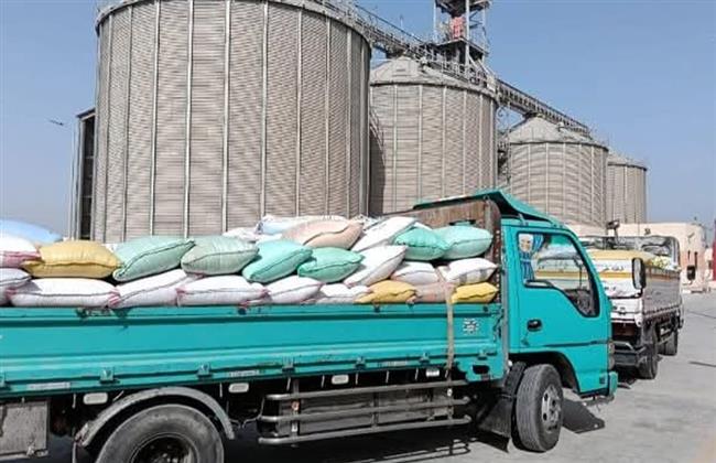 توريد أكثر من 106 آلاف طن قمح بصوامع وشون سوهاج