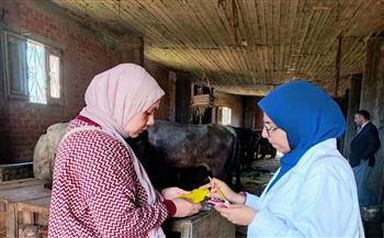   فحص ٣٥٩٤ رأس ماشية ضد البروسيلا و ٣٢٧٤ رأس ماشية ضد السل البقرى بمحافظة الشرقية