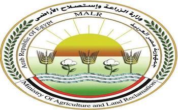 "الزراعة": تحصين أكثر من 2.4 مليون رأس ماشية ضمن الحملة القومية ضد الحمى القلاعية والوادي المتصدع