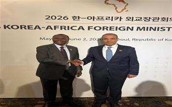 وزير الخارجية ونظيره الجنوب سوداني يبحثان تعزيز العلاقات الثنائية والتنسيق حول نهر النيل والتعاون الإقليمي