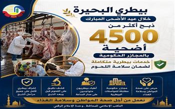 بيطري البحيرة: ذبح أكثر من 4500 أضحية بالمجازر الحكومية خلال عيد الأضحى المبارك 