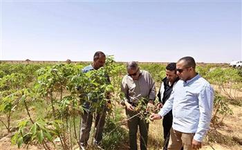 "الزراعة" تنشر ملخصا للأنشطة البحثية والإرشادية والخدمية والميدانية لمركز بحوث الصحراء خلال مايو 