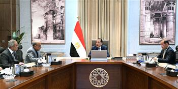 رئيس الوزراء يتابع إجراءات توفير التمويل المطلوب لمشروعات الطاقة الجديدة والمتجددة