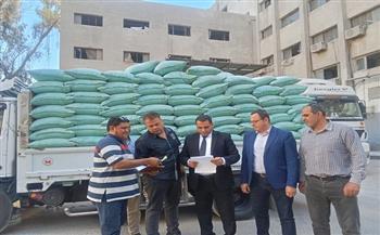 محافظة الجيزة تضبط 3762 مخالفة تموينية خلال شهر ومصادرة نحو 151 طنًا من السلع المدعمة منتهية الصلاحية